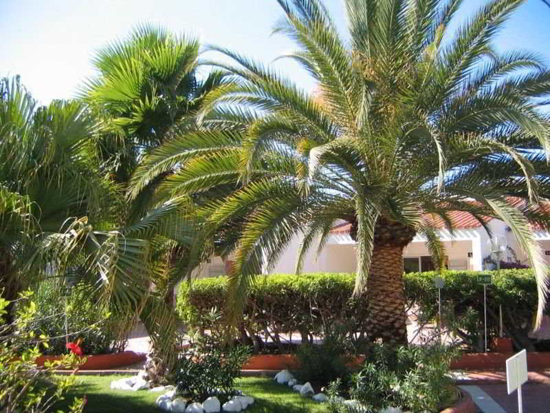 Parque Paraiso I Playa del Inglés Eksteriør billede